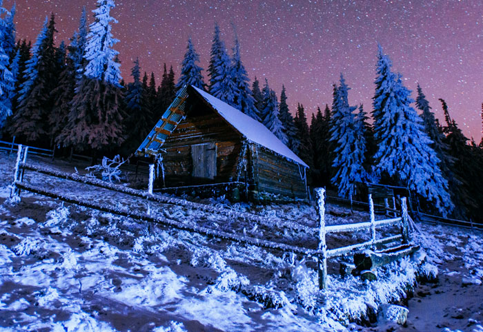 Rustic cabin surrounded by snowy forest under a starry night sky, evoking untold family secrets and stories.