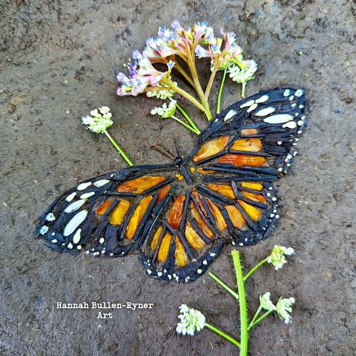 A butterfly portrait made from natural materials on soil, showcasing earth art creativity.