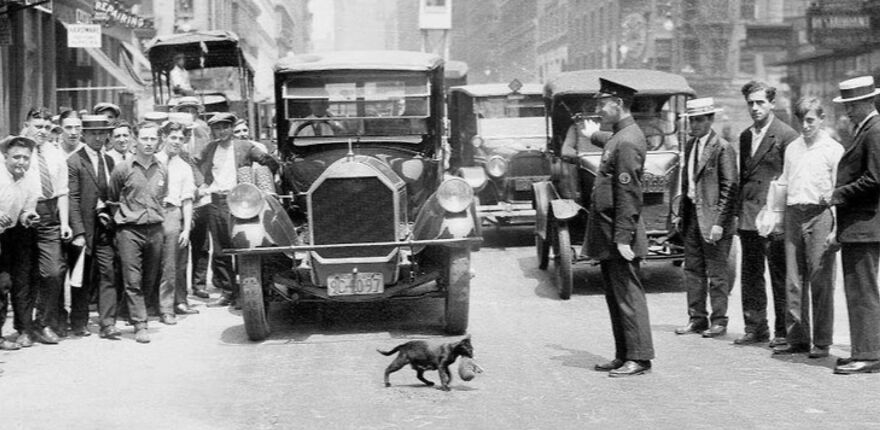 "I Give Historical Cat Tours Of NYC" - Local Historian Teams Up With Bodega Cat Expert To Create The Most Purrfect Walking Tour Ever