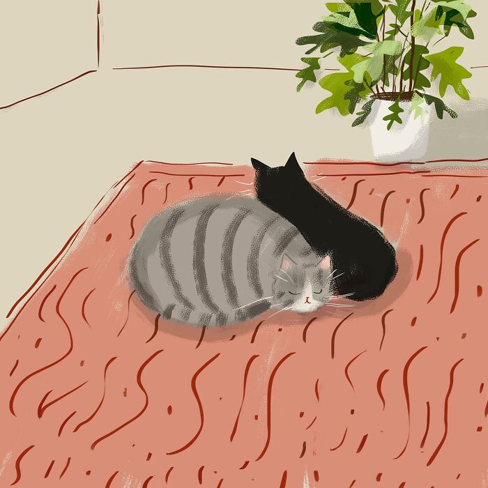 Cozy illustration of two cats curled up on a patterned rug with a potted plant nearby, perfect for cat lovers.