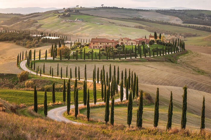 Winding road through Tuscany region, Italy, lined with cypress trees and surrounded by rolling hills.