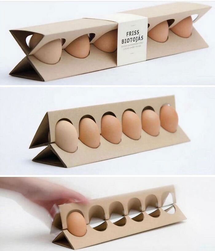 Re-Imagining The Egg Carton