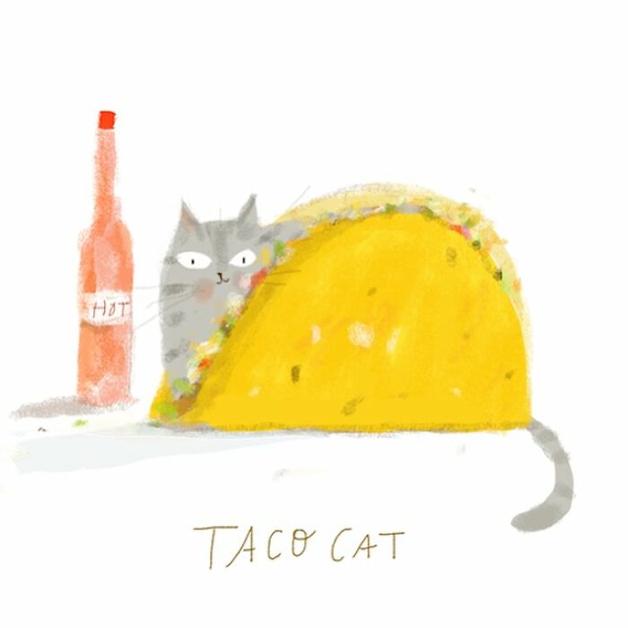 Cat illustration by Jamie Shelman featuring a cat inside a taco with a hot sauce bottle nearby.