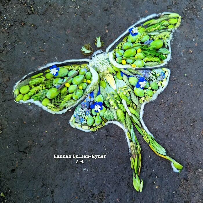 Earth art depicting a butterfly made from natural materials like leaves and flowers on a dark surface.