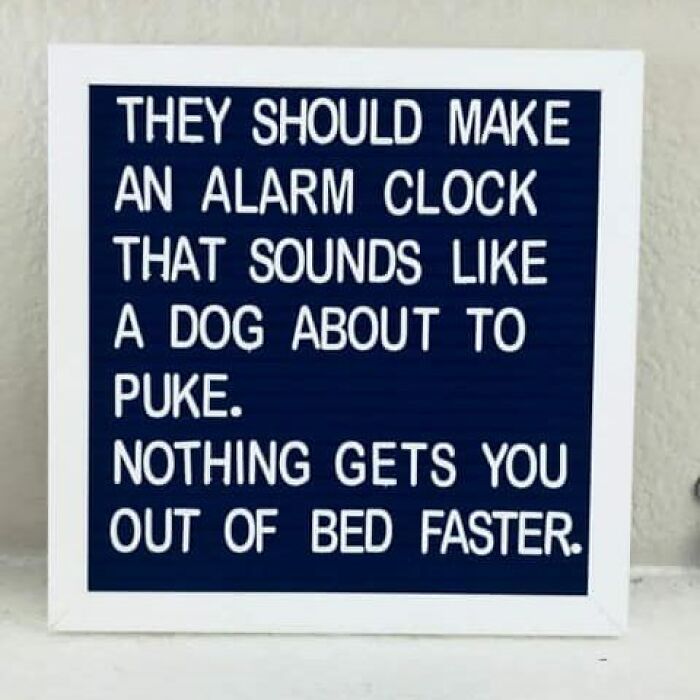 Sign with funny text about a dog alarm clock, relatable to dog owners.