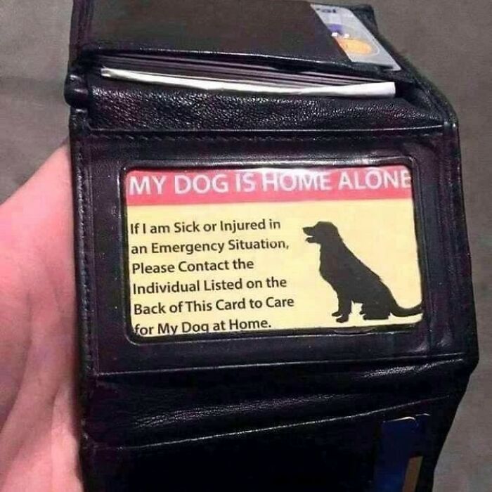 Wallet card for dog owners with emergency contact info.