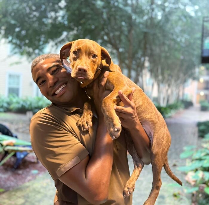 UPS driver holding an adorable dog on his route, smiling brightly amidst a tree-lined path.