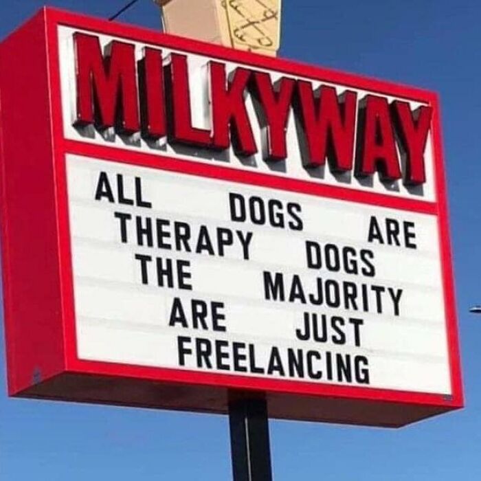 Sign with a humorous dog meme, saying, “All dogs are therapy dogs, the majority are just freelancing.”