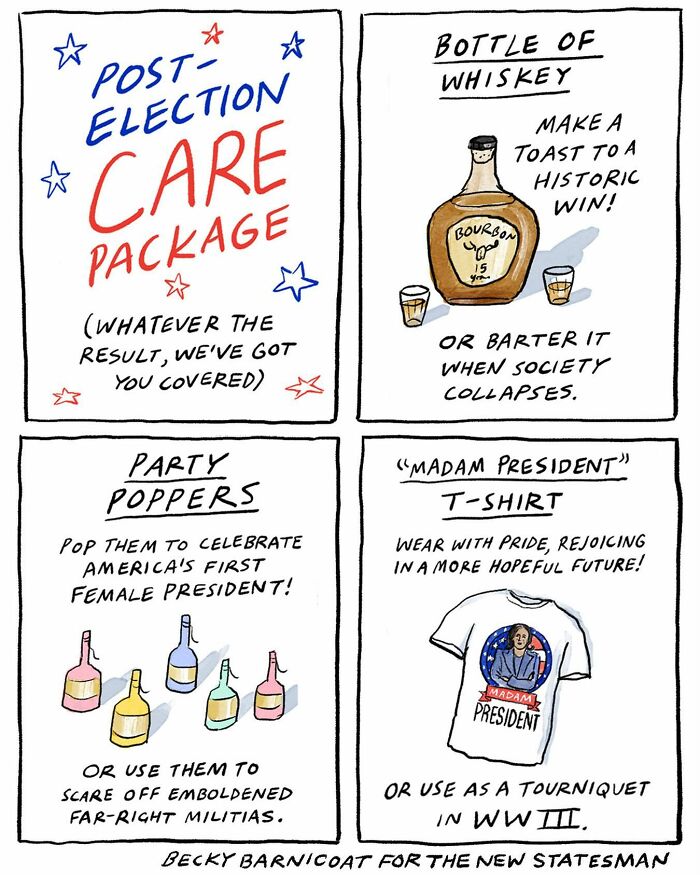 Relatable comic by Becky Barnicoat depicting a humorous post-election care package.