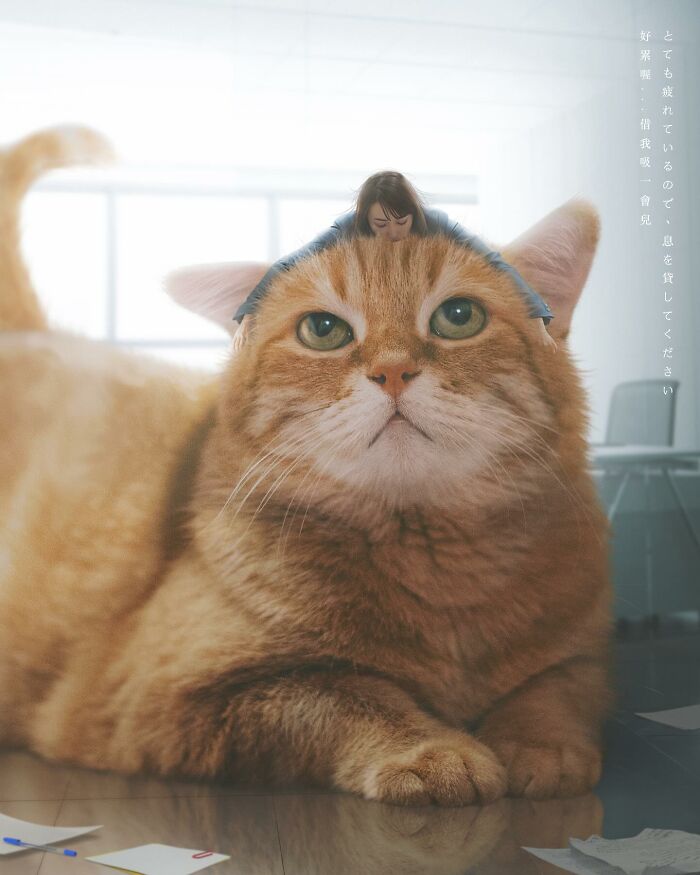 Giant cat with person resting on its head, illustrating artist Xiang's imaginative world.