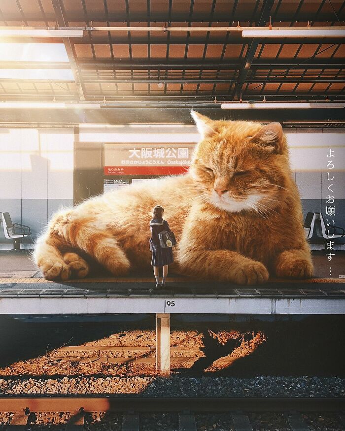 Giant cat lounging on a train platform with a person standing nearby, illustrating a whimsical world created by artist Xiang.