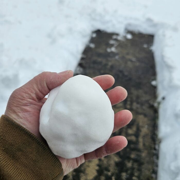 Hand holding a snowball on a snowy path, capturing a humorous Gen X winter moment.