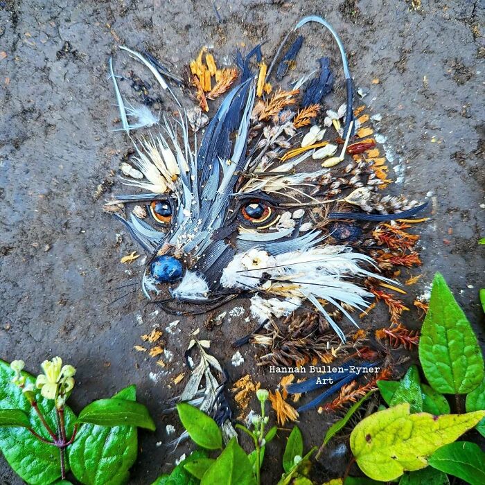 Animal portrait made from natural materials depicting a raccoon face surrounded by green leaves, showcasing earth art.