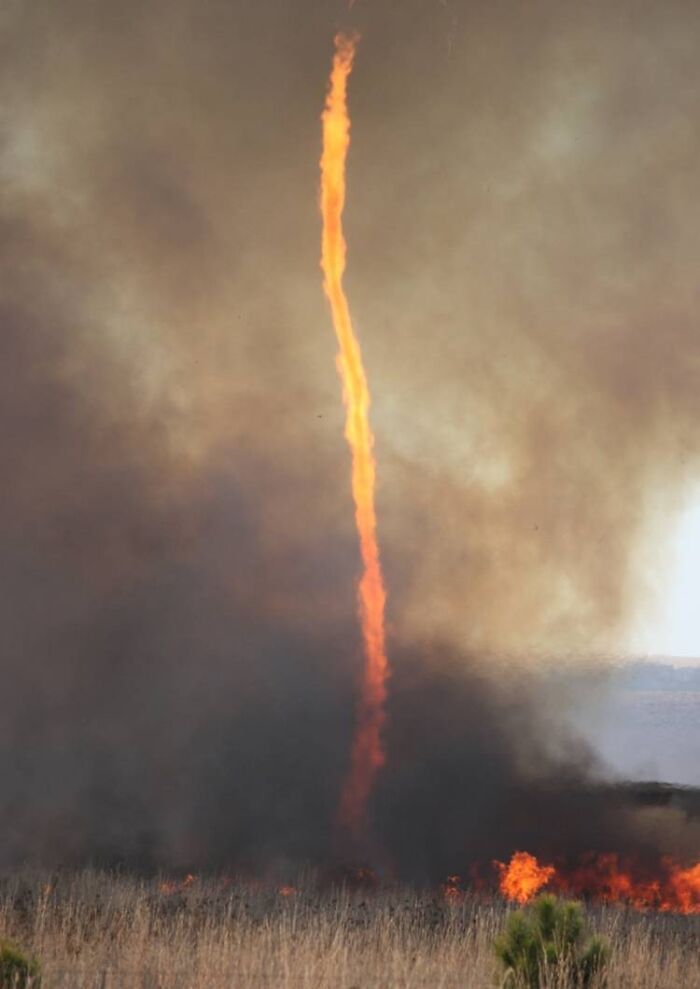 Fire tornado rising amidst smoke, showcasing incredible natural phenomena.