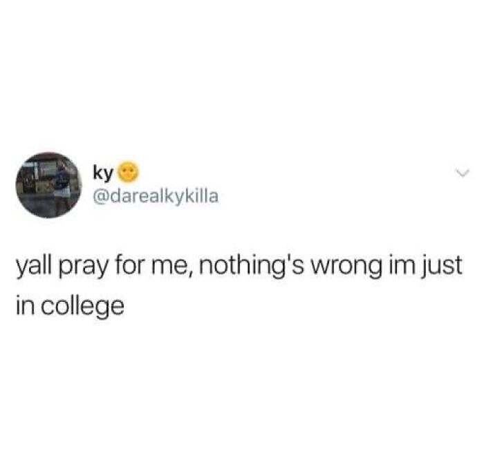 Wholesome-College-Memes