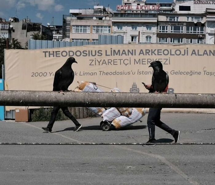 People with crow heads in urban setting, one using a phone, creating an interesting visual contrast.