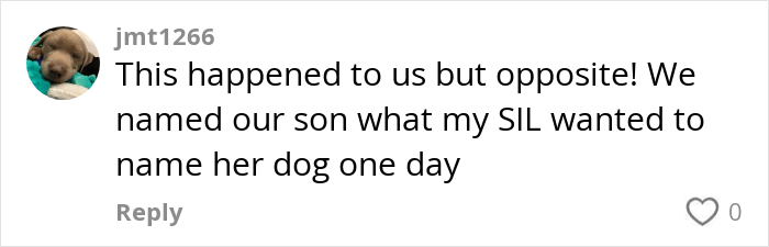 Comment about accidentally naming a baby and dog similarly, with a profile picture of a dog.