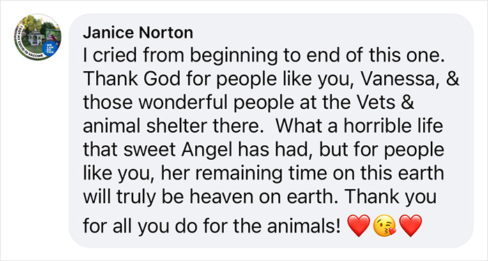 Testimonial praising a pet groomer helping neglected animals, expressing gratitude for their compassionate work.