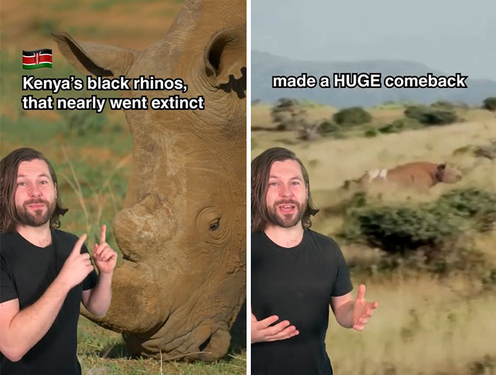 Kenya's Black Rhinos That Nearly Went Extinct Made A Huge Comeback And Doubled In Number To 1,000