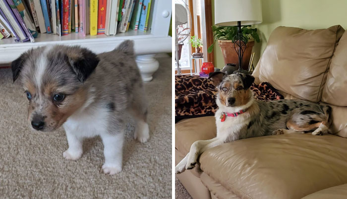 In Honor Of Her First Birthday, Here's My Girl At About 4 Weeks And Again At 1 Year