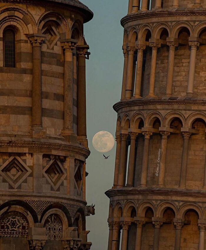 Moon rising between two towers, captured by an interesting Instagram page with a bird in flight.