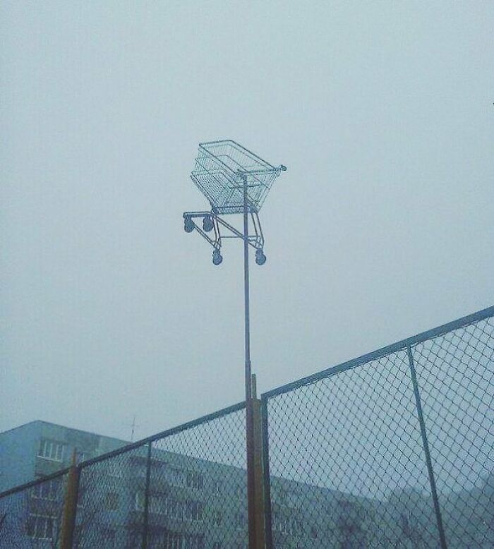 Shopping cart awkwardly perched atop a pole in an urban area, illustrating urban hell.