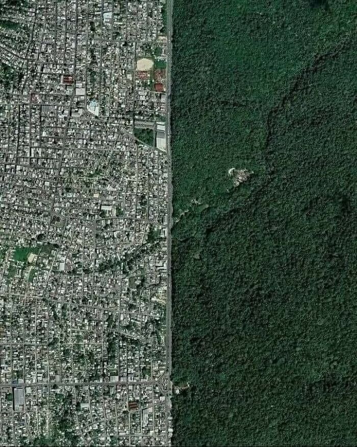 A striking satellite view showcases an abrupt urban boundary meeting a vast forest, capturing an "urban hell" contrast dramatically.