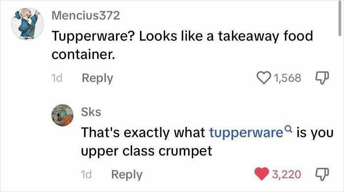 "Witty online exchange over Tupperware as takeaway container, showcasing epic burns in 2024."