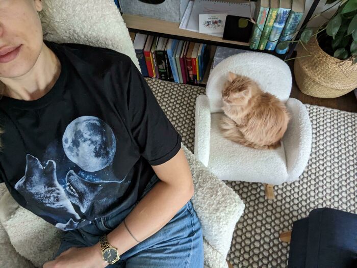 Person relaxing with a pet cat on a miniature chair, surrounded by books.