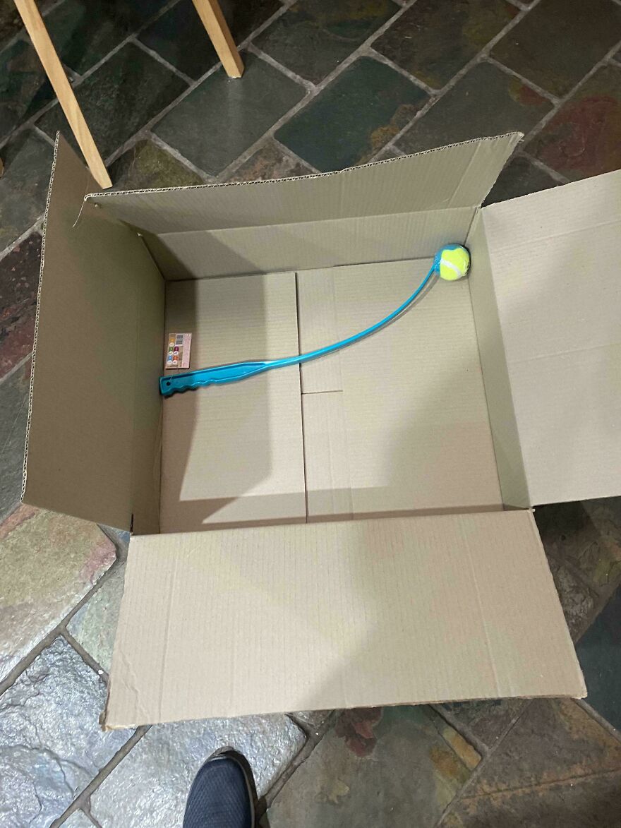 Large open cardboard box with a stick and ball toy, illustrating wasteful packaging.