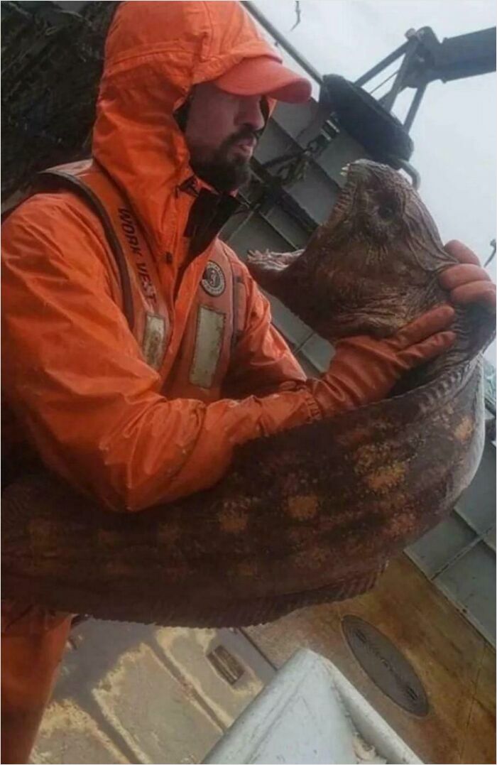 Fisherman in orange gear holding an absolute unit of a large fish on a boat.