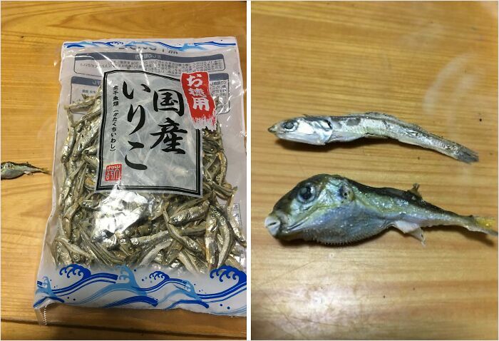 Unhinged foods: packaged dried fish and a pufferfish on a wooden table.