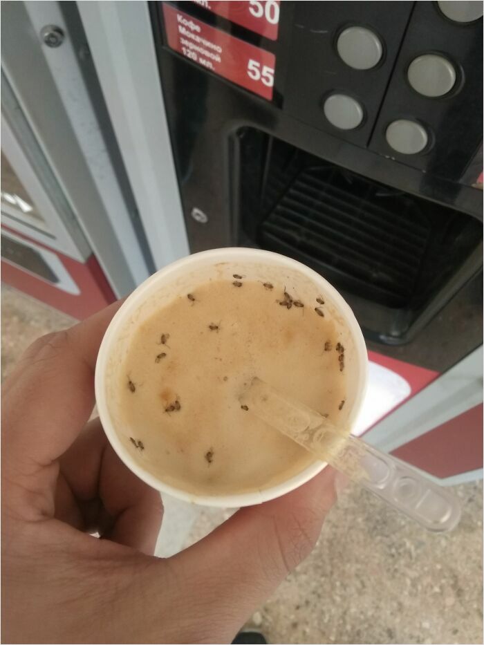 Cup of coffee with insects on the foam, held by a person near a vending machine, showcasing unhinged foods.