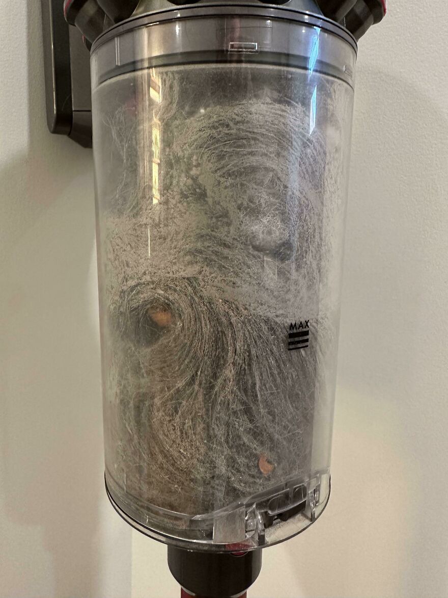 Vacuum canister filled with dust resembling accidental art patterns.