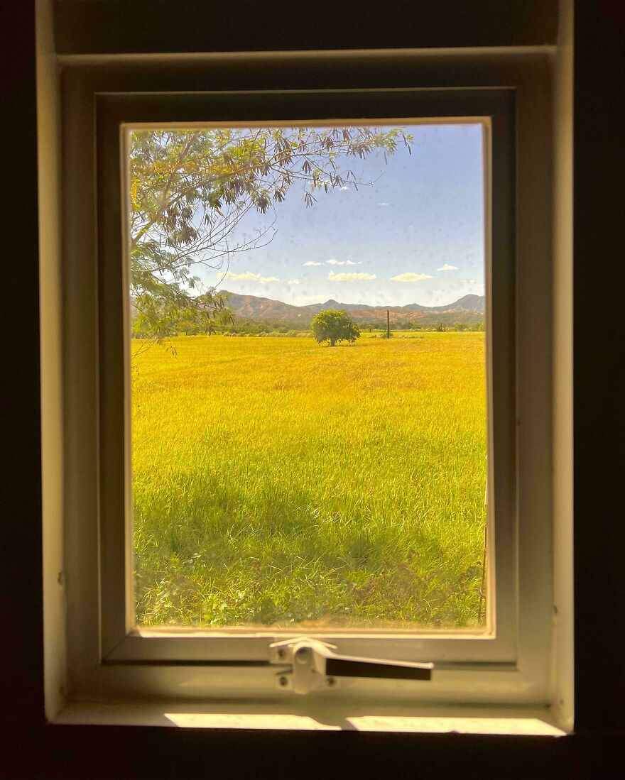 A vibrant landscape viewed through a window, creating an accidental art effect with fields and mountains.