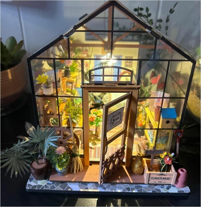 Miniature greenhouse filled with plants, showcasing a potential new hobby for 2025.