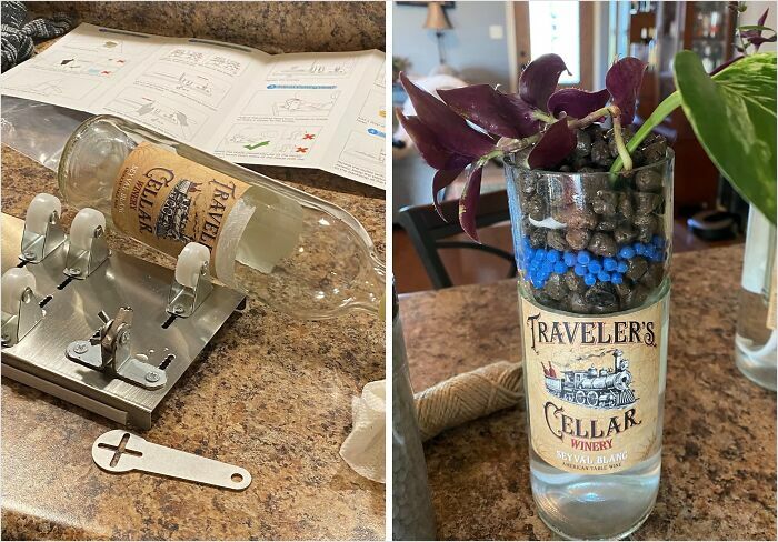 DIY plant vase crafted from a cut wine bottle using a bottle cutter, showcasing new hobbies 2025 trend.