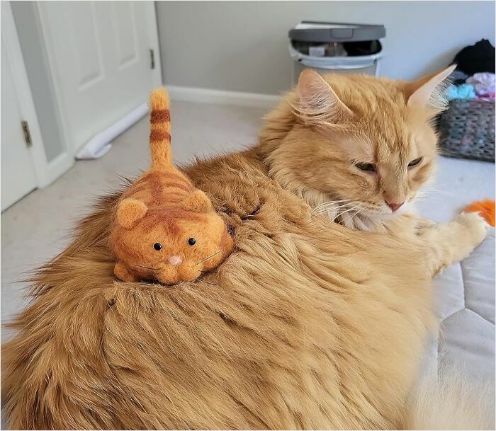 Fluffy orange cat with a matching plush toy on its back. New Hobbies 2025.