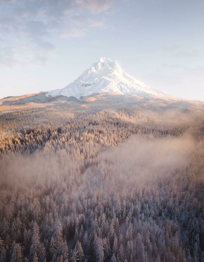 Snow-covered mountain peak with lush forest below, capturing the essence of incredible world photos in serene light.