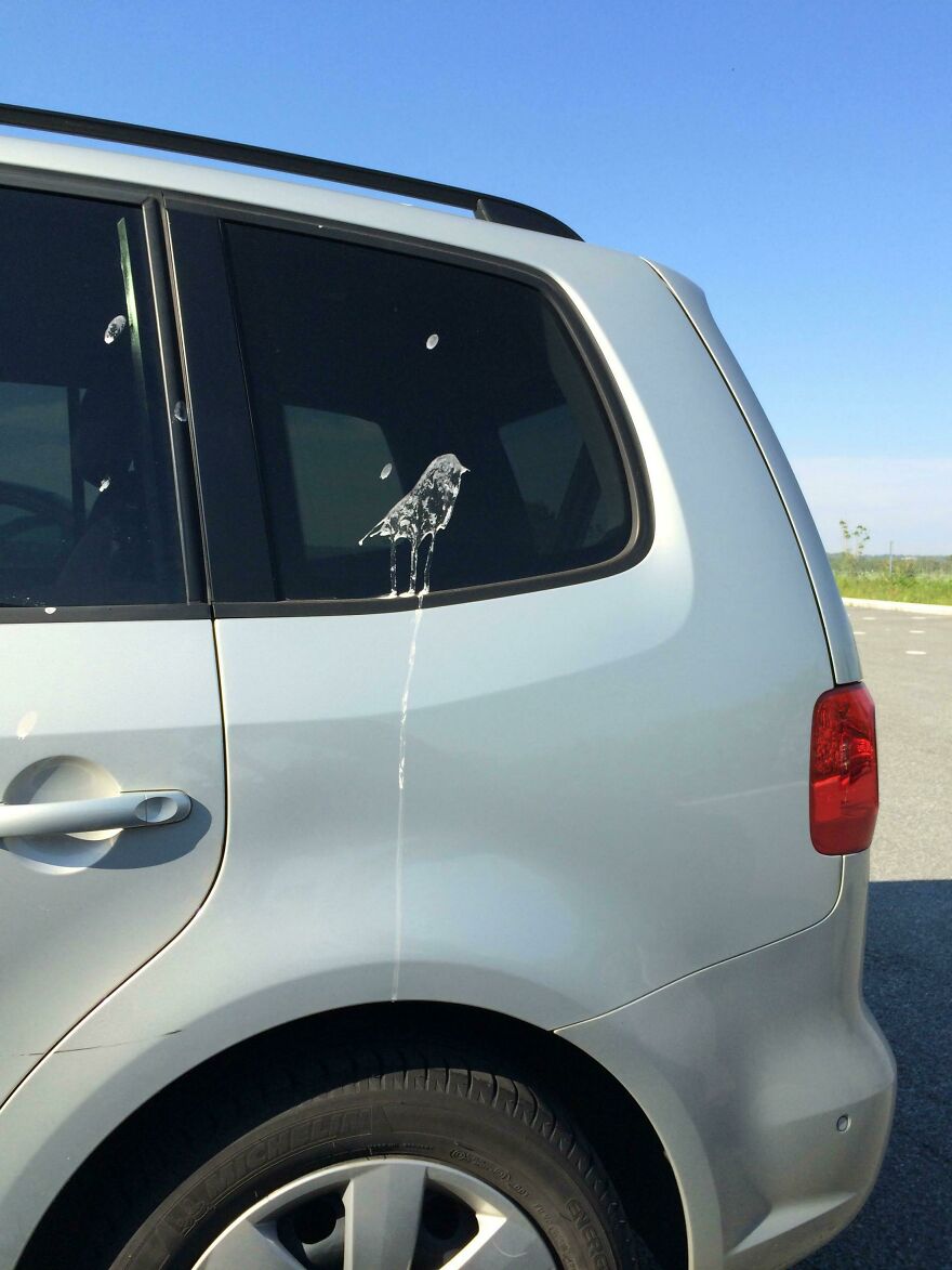 Bird-shaped stain on car window creating accidental art.