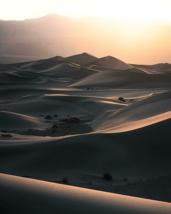 Golden sunlight over rolling desert dunes, showcasing the incredible world photos of nature's beauty.