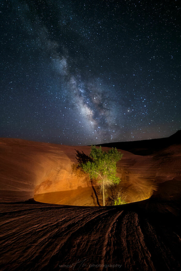 Incredible photo of the Milky Way spanning the night sky over a tree illuminated in a desert canyon.