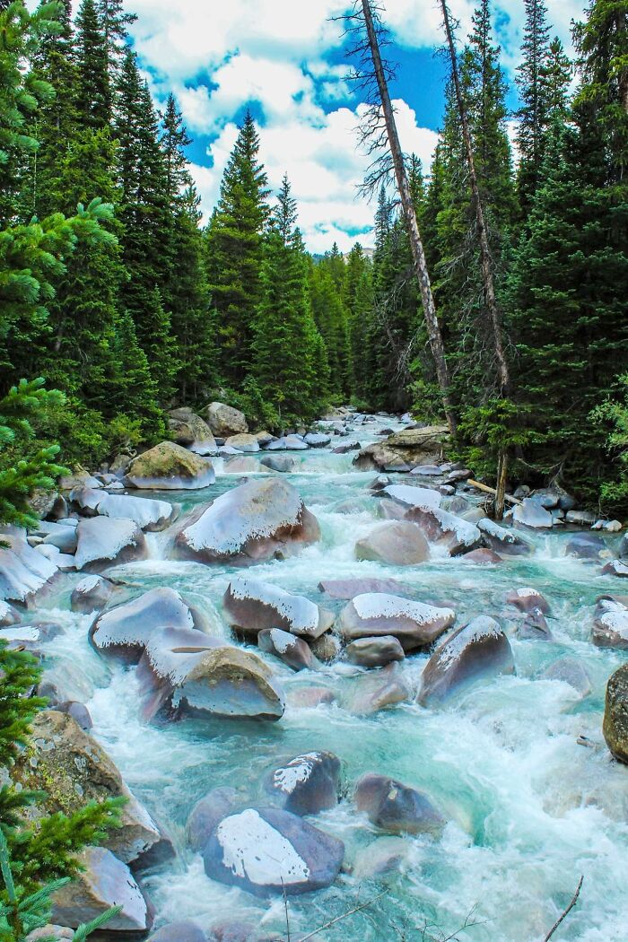 Crystal-clear river flowing through lush forest, capturing the incredible world in nature's beauty.