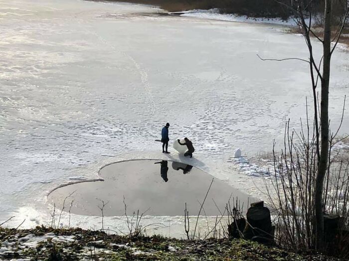 Capté esto cuando paseaba junto al lago