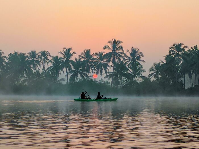 Kayakers on misty water at sunrise with palm trees, showcasing the incredible world views.