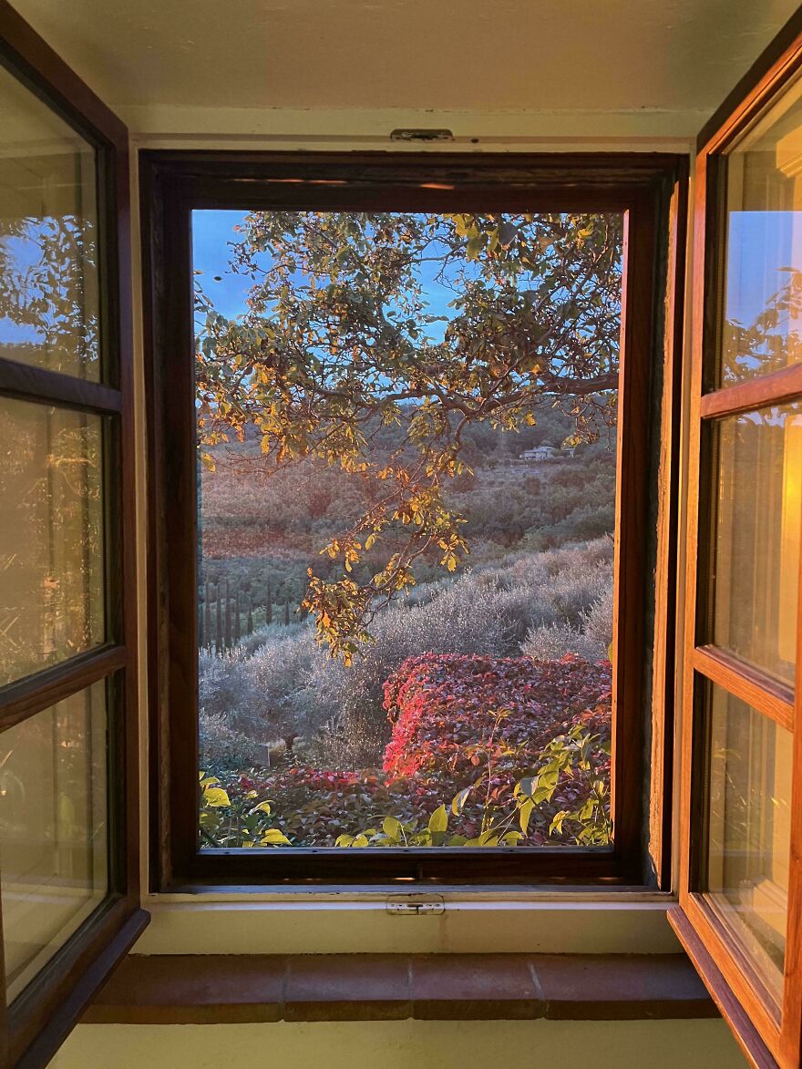 A scenic landscape viewed through an open window, capturing vibrant fall foliage, exemplifying accidental art.