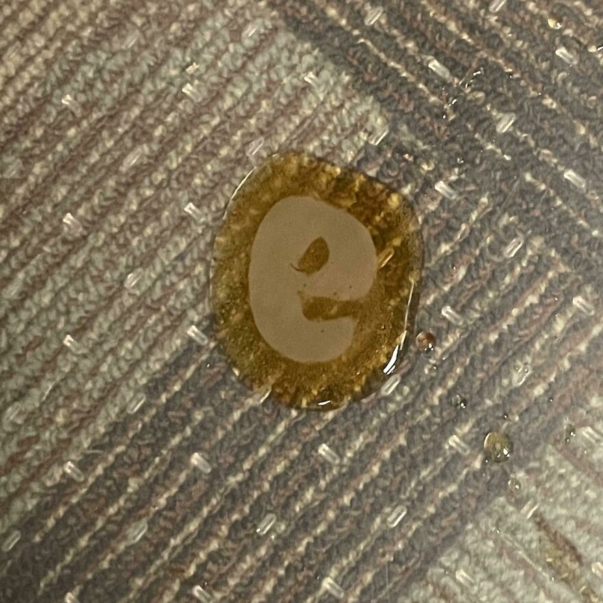 Spill on carpet resembles the letter "e," highlighting things that look like other things in unexpected ways.