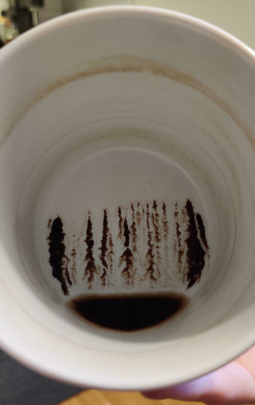 Coffee residue in a cup resembling a forest, an example of things looking like other things.