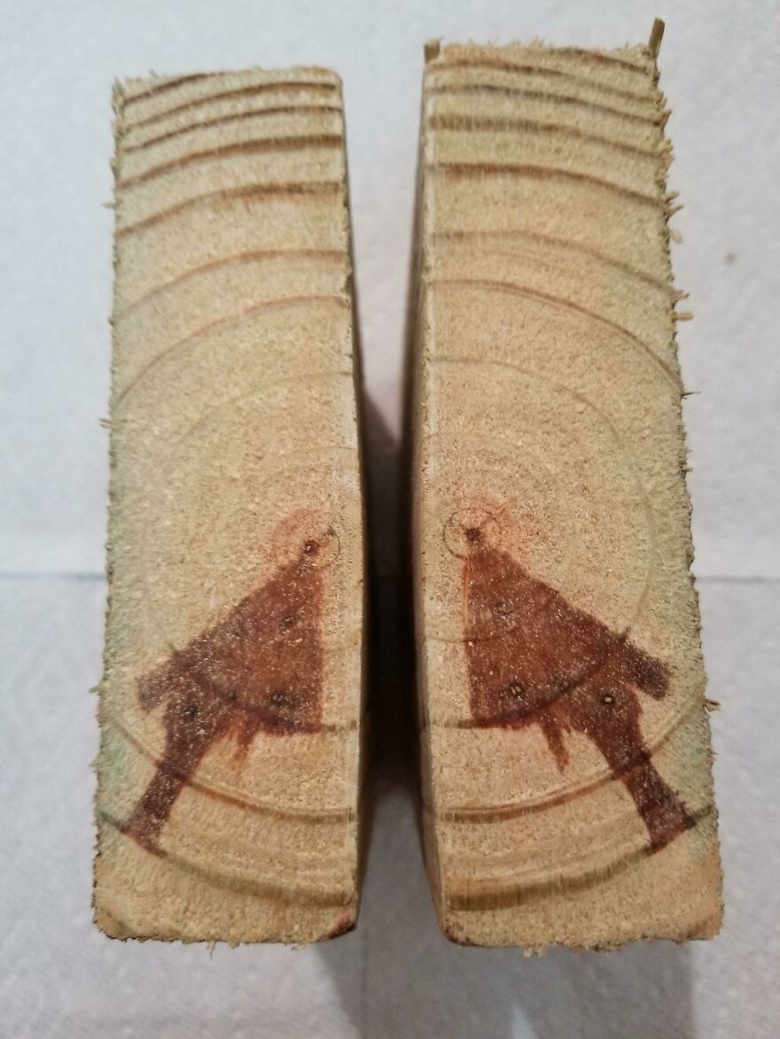 Two pieces of wood that look like bird shapes in their grain pattern.