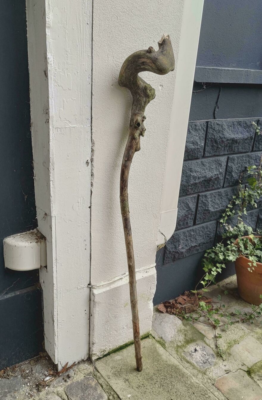 A gnarled stick leaning against a wall, resembling a wizard's staff.